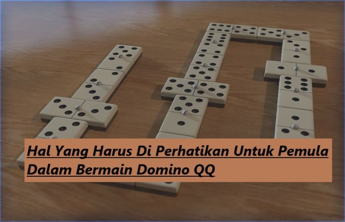 Tips dan Trik Bermain Domino QQ untuk Menang Konsisten