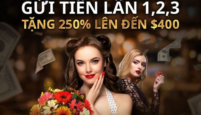 Live Casino vs RNG Casino: Apa Perbedaannya?